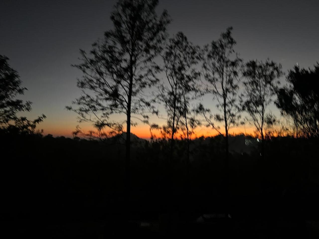 The Clover Resorts Yercaud Eksteriør billede